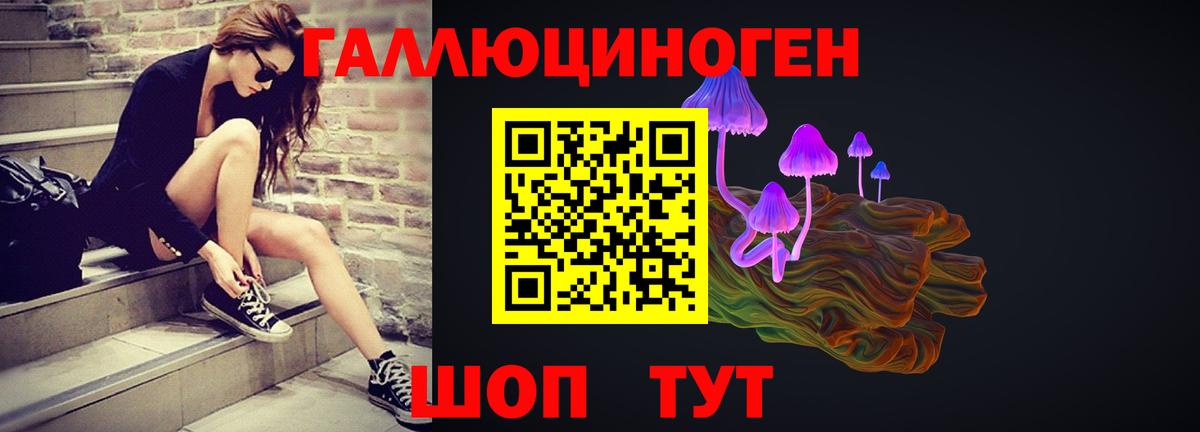 Галлюциногенные грибы Cubensis Артём