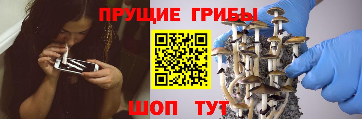 Артём  купить наркотик  Вход с VPN  Галлюциногенные грибы прущие грибы 